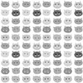 Seamless pattern funny gray cat face isolated on white background. simple ornament, Can be used for Gift wrap, fabrics, wallpapers Royalty Free Stock Photo