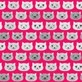 Seamless pattern funny Kawaii grey cat face, pastel colors on pink background. Can be used for greeting card design, Gift wrap,