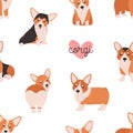 Seamless pattern with funny welsh corgi on white background. Backdrop with small adorable purebred dog, doggy, funny pet