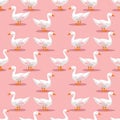 Seamless pattern with funny white ducks on pink background. Royalty Free Stock Photo