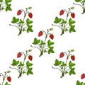 Seamless pattern with garden strawberry