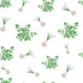 Seamless pattern with garlic heads and parsley herb