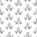 Seamless pattern of geese sketches