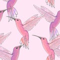 Seamless pattern with pink hummingbirds