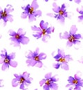 Seamless pattern with gentle watercolor flowers.