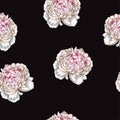 Seamless pattern with gently pink peony