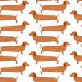 Seamless pattern with German badger-dog, dachshund. Cute cartoon character.