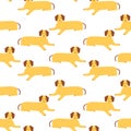 Seamless pattern with German badger-dog, dachshund. Cute cartoon character.