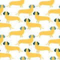 Seamless pattern with German badger-dog, dachshund. Cute cartoon character.