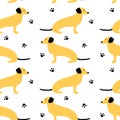 Seamless pattern with German badger-dog, dachshund. Cute cartoon character.