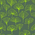 Seamless pattern with ginkgo biloba leaves, textured hand drawn outline leaf veins Royalty Free Stock Photo