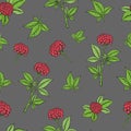 Seamless pattern with ginseng plant. Royalty Free Stock Photo