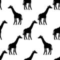 Seamless pattern with giraffe silhouette. Vector hand drawn illustration on a beautiful background Royalty Free Stock Photo