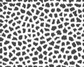 pattern of giraffe skin