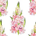 Seamless pattern is gladiolus flower natural. vector illustration Royalty Free Stock Photo