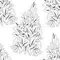 Seamless pattern is gladiolus flower natural. vector illustration Royalty Free Stock Photo