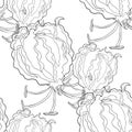 Seamless pattern Gloriosa flower Gorgeous coloring. vector illu