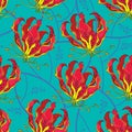 Seamless pattern with Gloriosa superba or flame lily, tropical flower on the green background. Royalty Free Stock Photo