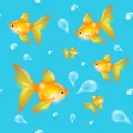 Seamless pattern with goldenfish Royalty Free Stock Photo