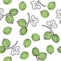 Seamless pattern with gooseberry. Fruit illustration. Indian gooseberry Malacca tree. Edible fruit. Good for backdrop, textile, wr