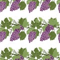 Seamless pattern with grapes.