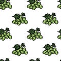 seamless pattern with grapes. Isolated on white background. Vector Royalty Free Stock Photo
