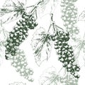 Seamless pattern with grapes.