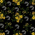 Seamless pattern,Graphic design, Cassia flower in abstract style on black background