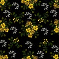 Seamless pattern,Graphic design, Cassia flower in abstract style on black background Royalty Free Stock Photo