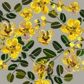 Seamless pattern,Graphic design, Cassia flower in abstract style on black background