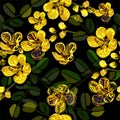 Seamless pattern,Graphic design, Cassia flower in abstract style on black background Royalty Free Stock Photo