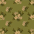 Seamless pattern,Graphic design, Cassia flower in abstract style on green background