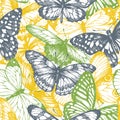 Seamless pattern with graphic sketch color butterflies