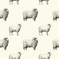 Seamless pattern with graphical sheep silhouettes, retro hand drawn illustration.