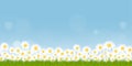 Seamless pattern grass field on summer nature background with chamomiles flowers and blue sky,Vector Endless Spring background