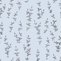 Seamless pattern of gray thyme sprigs