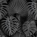 Seamless pattern with grayscale tropical exotic palm leaves Royalty Free Stock Photo