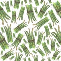 Seamless pattern Green asparagus. Hand painted watercolor. Handmade fresh food design elements isolated Royalty Free Stock Photo
