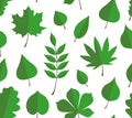 Seamless pattern with green autumn leaves