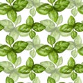 Seamless pattern with green basil leaves. Background for textiles, fabrics, banners, wrapping paper and other designs