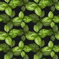 Seamless pattern with green basil leaves. Background for textiles, fabrics, banners, wrapping paper and other designs