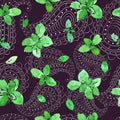 Basil and paisley pattern