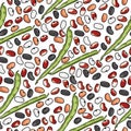 Seamless pattern of green bean pods and multi-colored seeds, dark, light and spotted beans on a white background Royalty Free Stock Photo