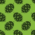 Seamless pattern with green beer hops, colorful vector illustration Royalty Free Stock Photo