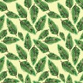 Seamless pattern with green fir branches. Christmas background for textiles, Wallpaper and packaging.