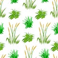 Seamless pattern with green herbs.