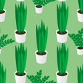 Seamless Pattern of Green Homeplants in Pots