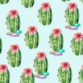 Seamless pattern with green juicy oval-shaped cacti, stones and delicate pink flowers. Bright desert-themed illustration for Botan