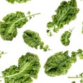 Seamless pattern with green kale leaf isolated on white. Vegetable background. Food texture. Close-up photo