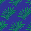 Seamless pattern with green leaves. Exotic palm tree, simple illustration. Background for clothes, web and design